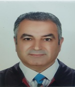 Photo of Associate Professor Mehmet Çolak